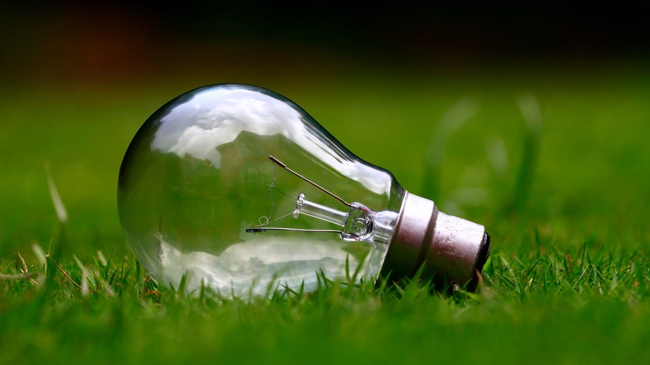 domestic heat pumps, light bulb lying in the grass representing energy efficiency