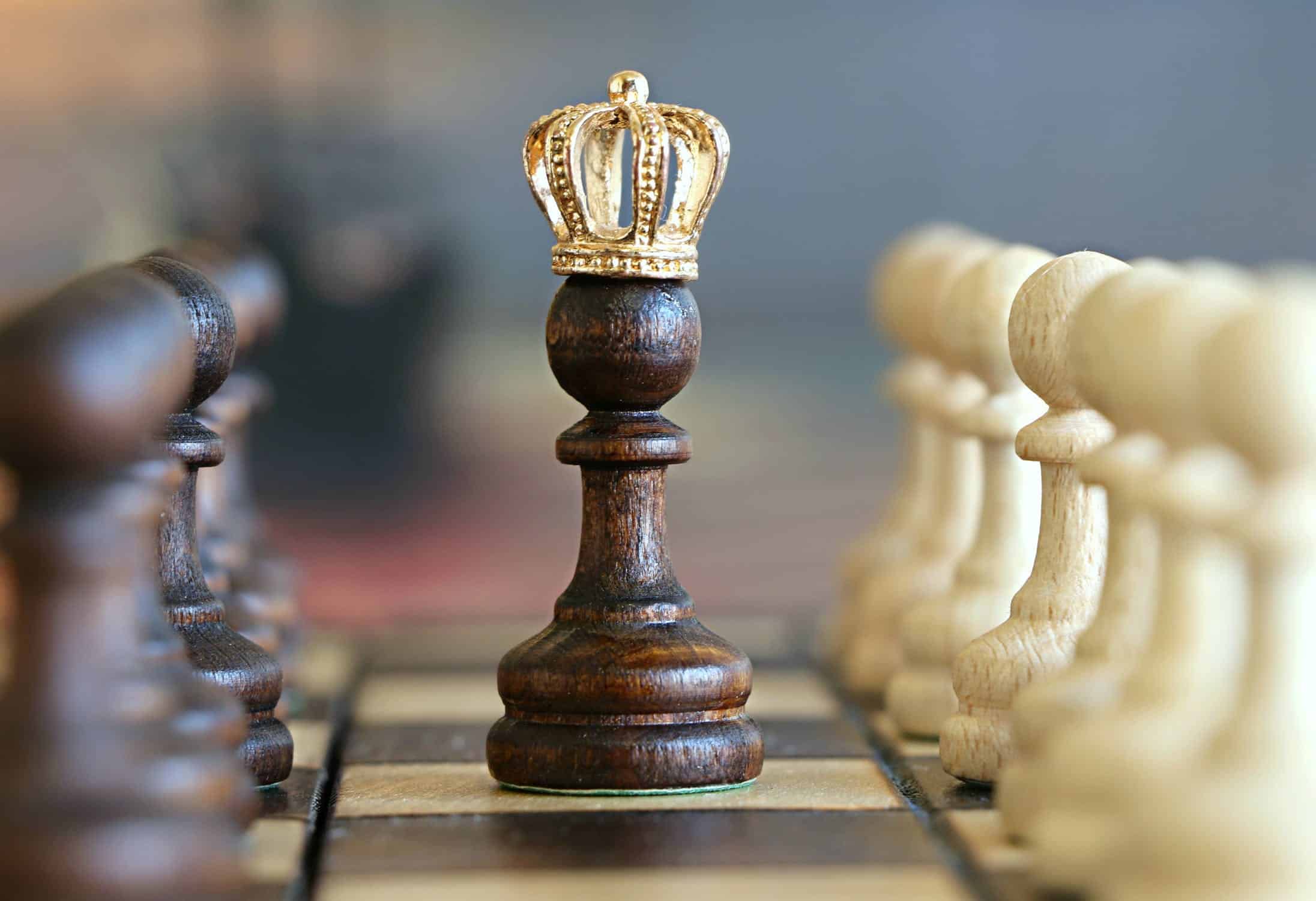 image of a king in chess