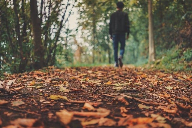 image of a autumn with fallen leaves representing GSHP installation