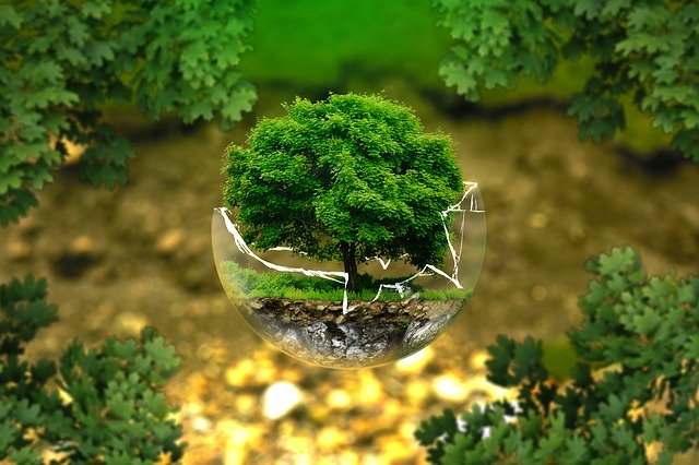 image of a tree in a glass globe representing ground source heat pump installation