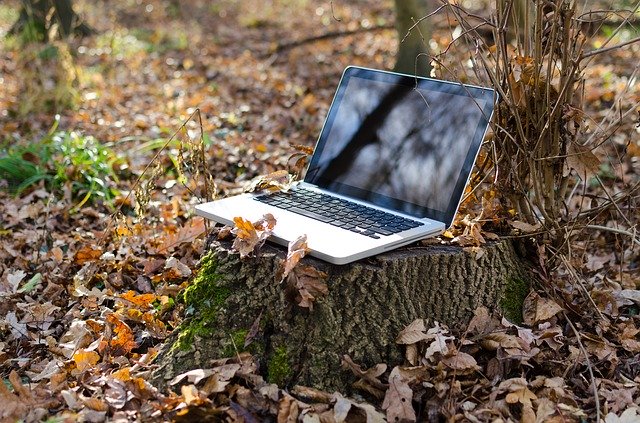 image of laptop amidst a forest representing making your business green