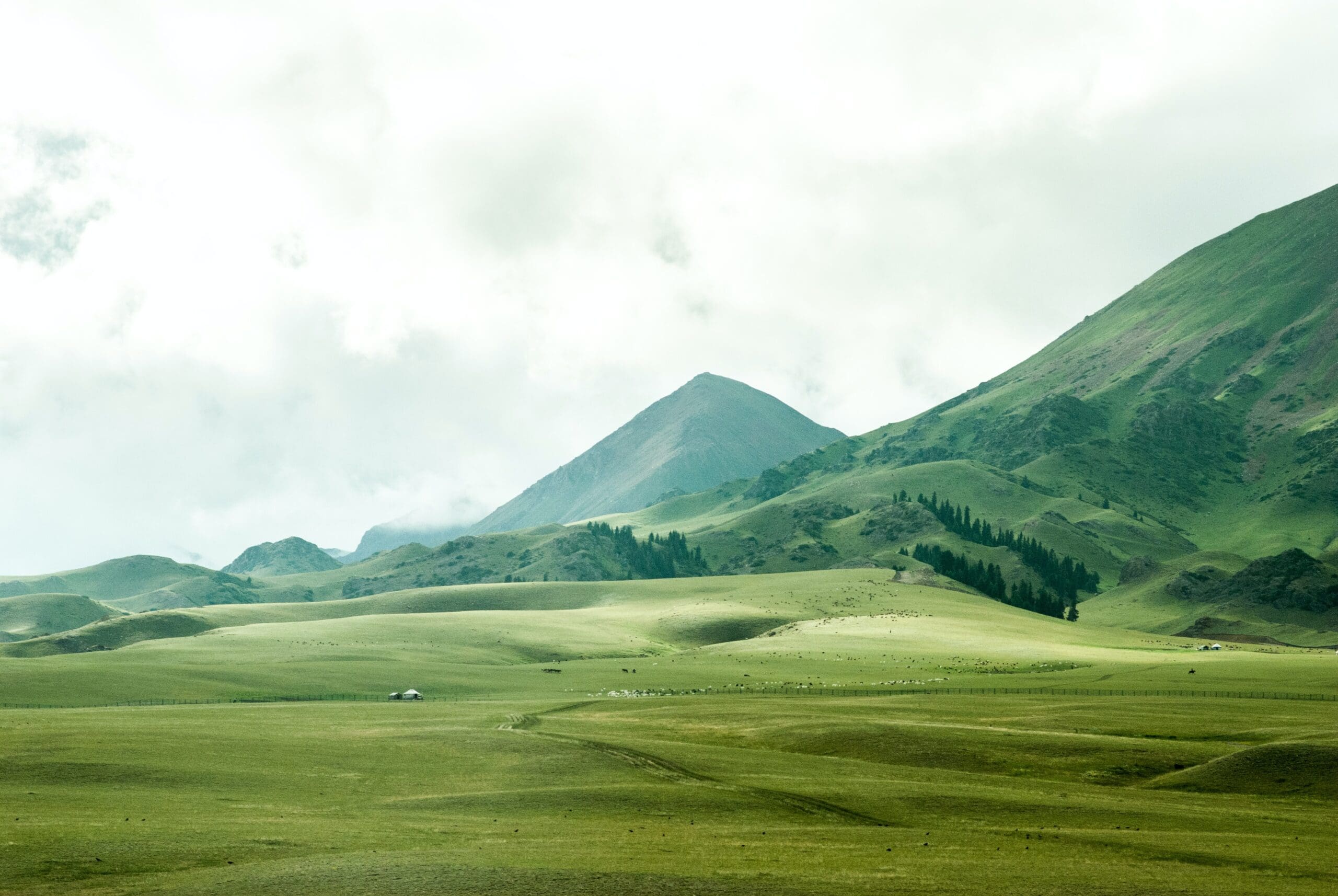 Bird's eye view of grassland at the foot of a mountain representing the significance of heat pumps vs biomass boilers.