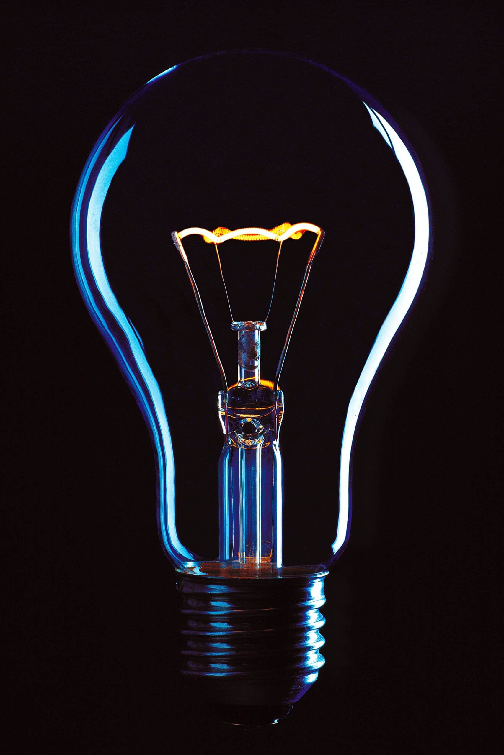 offset your business carbon footprint by adopting green and sustainable practices, light bulb representing energy efficiency