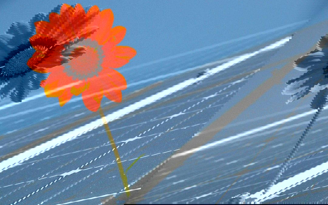 Your Guide To Air Source Heat Pump Installation