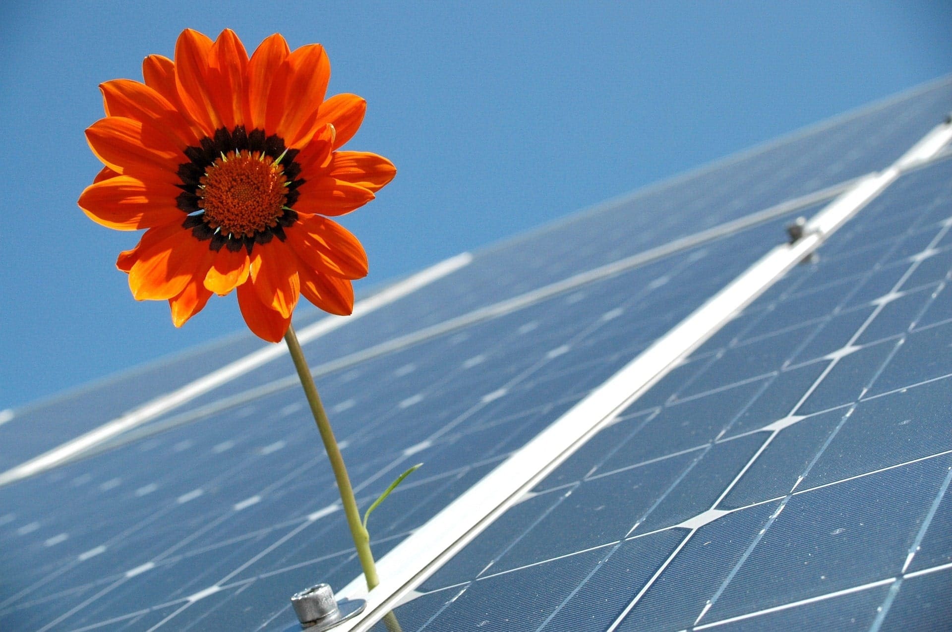 air source heat pump installation guide; A flower on solar panels.