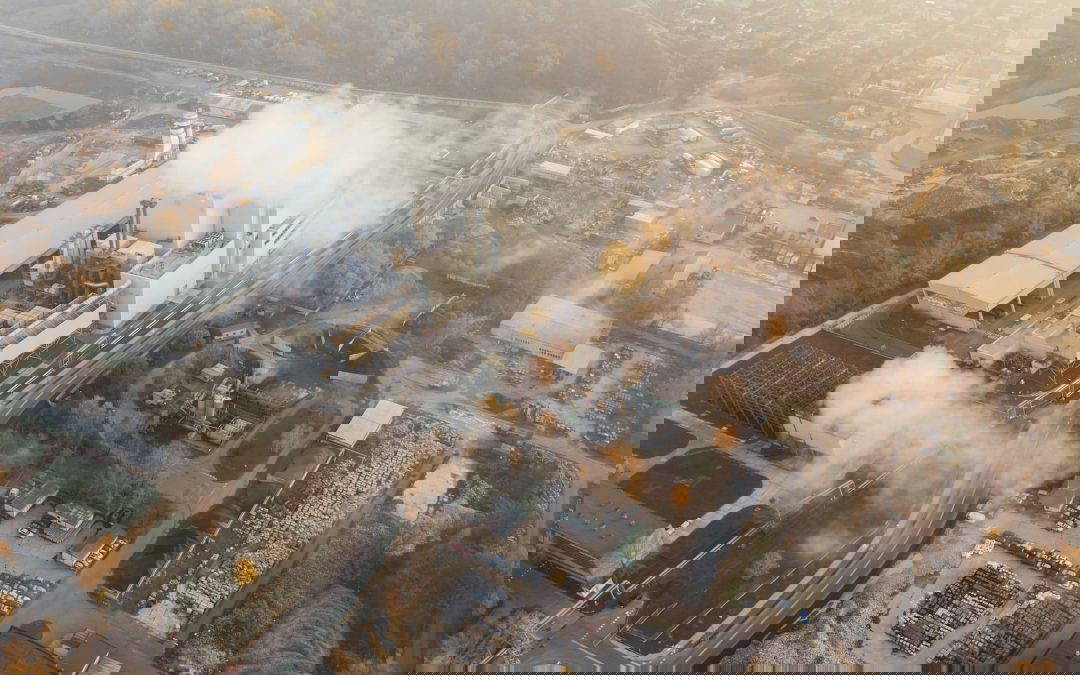 How to Reduce Carbon Footprint in the 21st Century