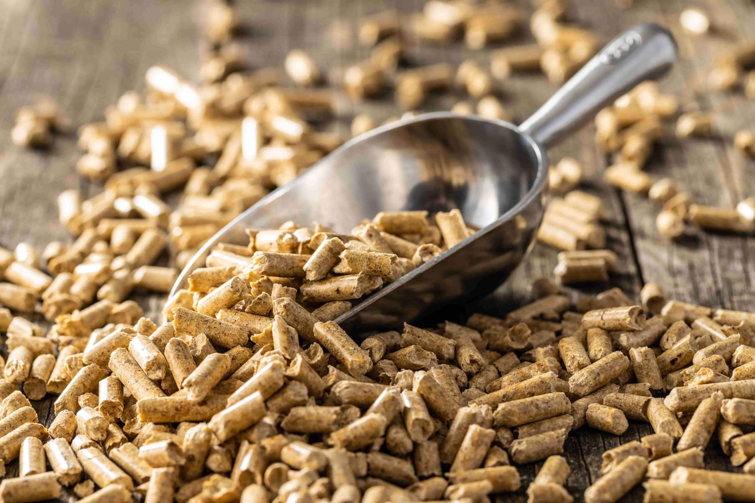 Wood Chips or Wood pellets for biomass boiler, wood pellets with a scoop.