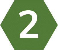 Two